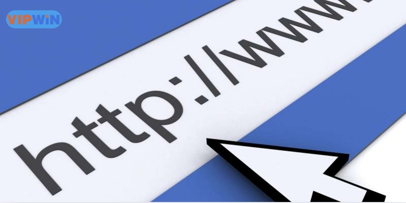 VIPWIN không đảm bảo mọi thông tin luôn đúng trong mọi trường hợp